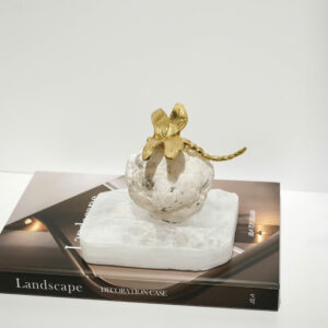 chuồn chuồn đá